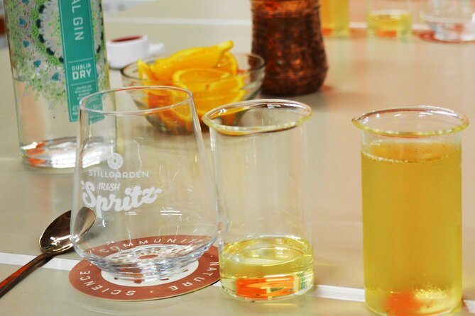 1-Hour Cocktail Masterclass Experience in Dublin - Who should book this experience?