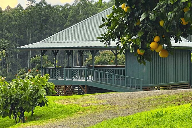 10 Bar Hawaiian Craft Chocolate Tasting Experience - Cacao tea, brewing chocolate, and farm refreshments