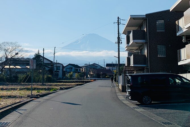 3-Hour Gotemba Food and Nightlife Izakaya Walking Tour - Is $254 a fair price?