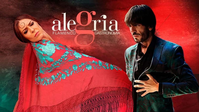 Alegria Flamenco in Malaga, with Transfer, Cocktail and Premium Location - Key points at a glance