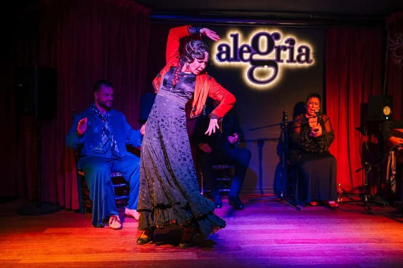 Alegria Flamenco in Malaga, with Transfer, Cocktail and Premium Location - What the premium location really adds