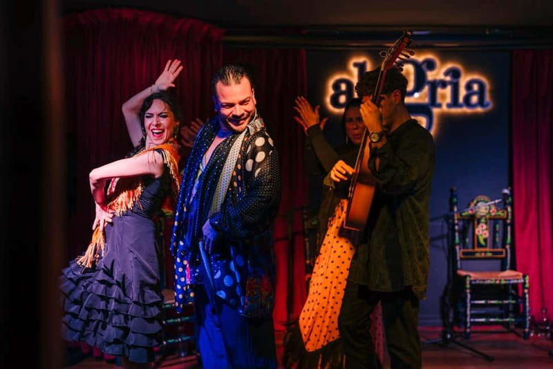 Alegria Flamenco in Malaga, with Transfer, Cocktail and Premium Location - Who should book this experience?