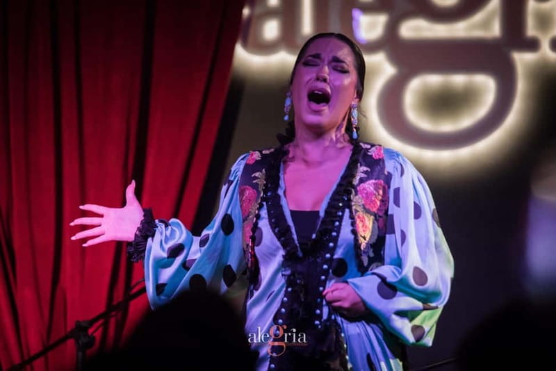 Alegria Flamenco in Malaga, with Transfer, Cocktail and Premium Location - Pickup from Torremolinos or Benalmádena