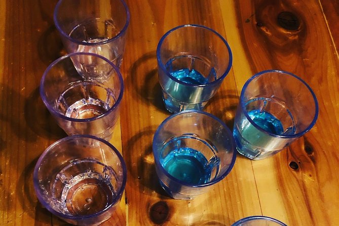 All-Inclusive Pub Crawl with Moonshine, Cocktails, and Craft Beer - Is $84.95 a fair price?