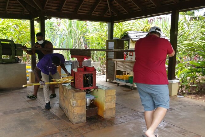 Appleton Estate Rum Tour and Pelican Bar Customize Tour - What this private Montego Bay day trip is really like