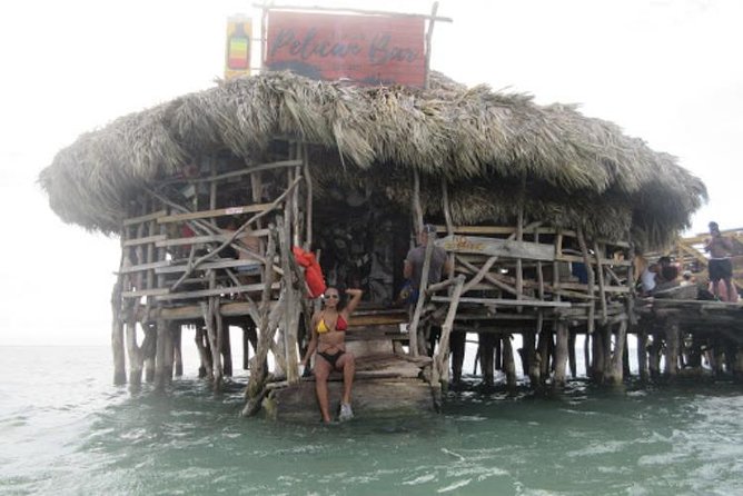 Appleton Estate Rum, YS Falls, Black River Safari / Floyd's Pelican Bar Tour - Why this private Jamaica tour is appealing
