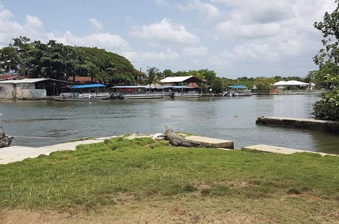 Appleton Estate Rum, YS Falls, Black River Safari / Floyd's Pelican Bar Tour - What to pack for this South Coast day
