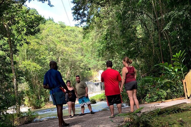 Appleton estate,YS Falls,Black River Safari,Pelican Bar(any 3of4) - YS Falls: Cool Water in the Rainforest