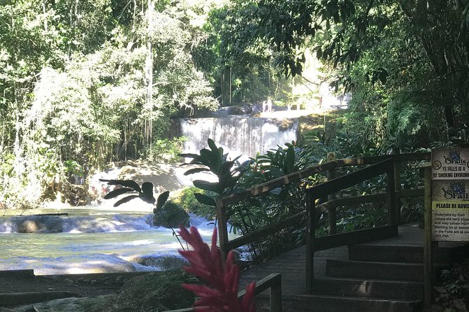 Appleton Rum Factory, Ys Falls, Black River Safari, Floyd’s Pelican Bar - Black River: wildlife and local history from the water