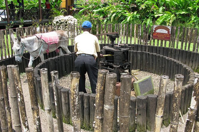 Appleton Rum Tour and Floyd’s Pelican Bar from Montego Bay Hotels and Villas - Who will enjoy this private Jamaica outing?