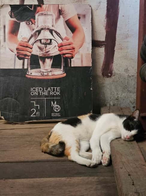Bangkok: Bar hop Sunset, Dinner, speakeasy, and live music. - Who will enjoy this evening most