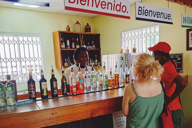 Bar Hopping and Grenadian Rum Tasting Tour - Annandale Falls gives the bar crawl a scenic pause
