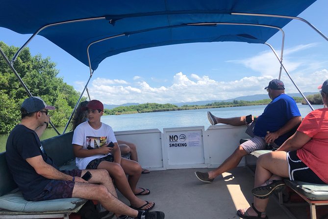 Black River Safari, YS Falls and Floyd's Pelican Bar - YS Falls: the most active two hours