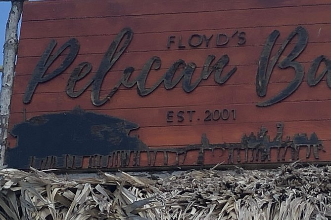 Black River Safari, YS Falls and Floyd's Pelican Bar - Black River: crocodiles, birds, and a slower start