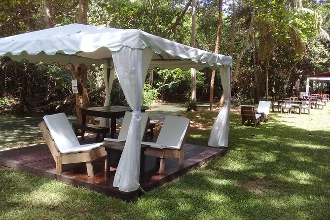 Blue Hole and Dunn’s River Falls Tour with Lunch and Cocktails at Reggae Hill - Who Should Book This Ocho Rios Excursion?