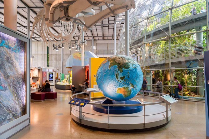 California Academy of Sciences NightLife Admission Ticket - Key Things to Know Before You Go