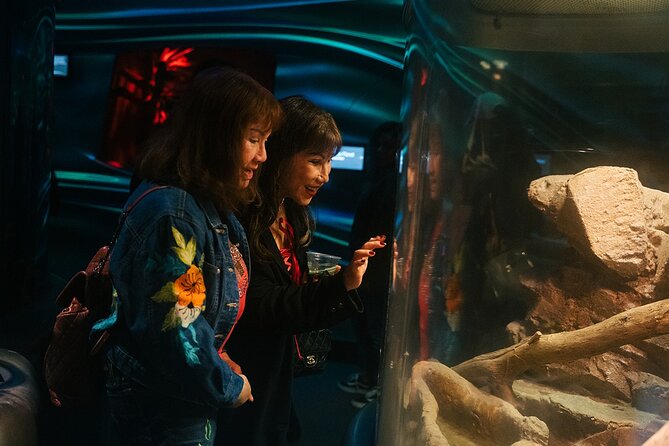 California Academy of Sciences NightLife Admission Ticket - How to Use Four Hours Wisely