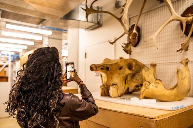 California Academy of Sciences NightLife Plus Admission Ticket - Key points to know before booking