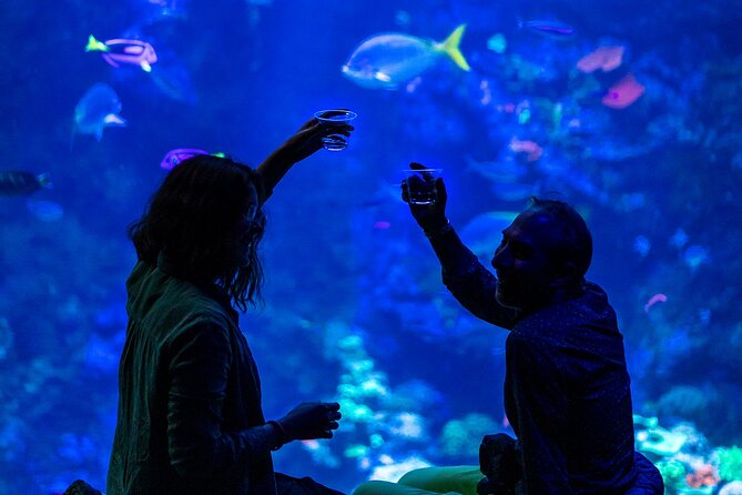 California Academy of Sciences NightLife Plus Admission Ticket - What this Thursday night experience is really like