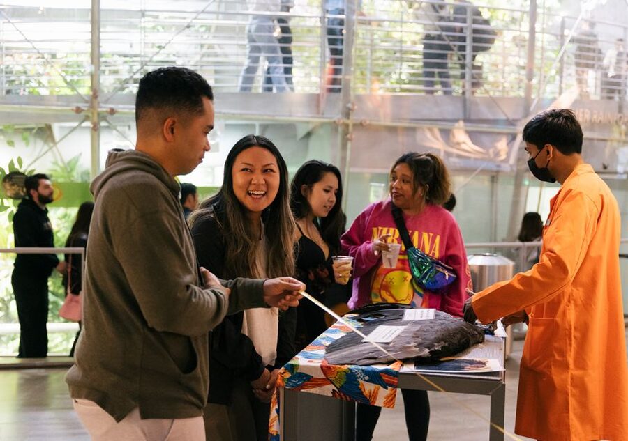 California Academy of Sciences Thursday NightLife Admission - Who will enjoy NightLife most?