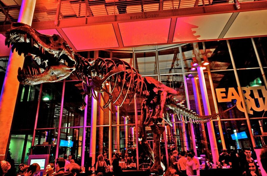 California Academy of Sciences Thursday NightLife Admission - The aquarium offers a quieter break from the music