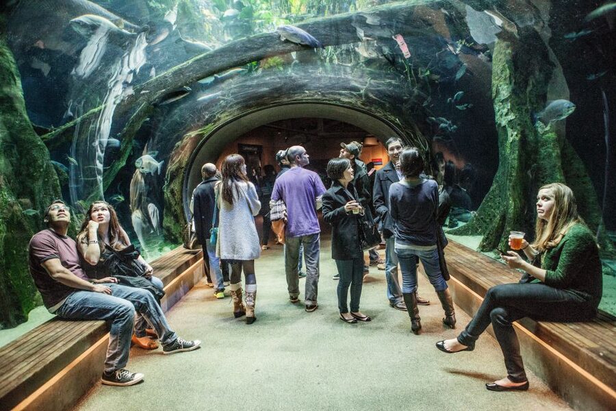 California Academy of Sciences Thursday NightLife Admission - Is $25 a good value?