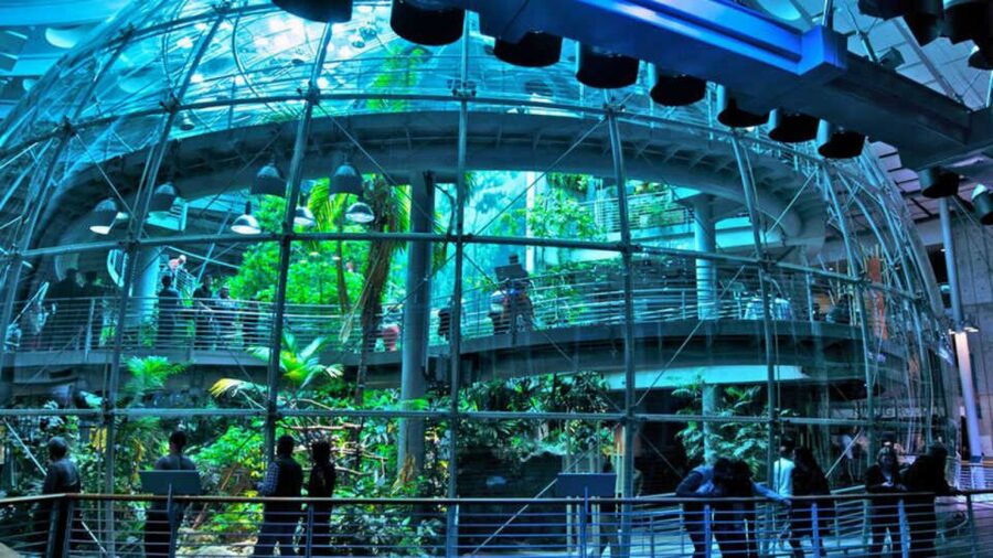 California Academy of Sciences Thursday NightLife Admission - Timing and practical planning