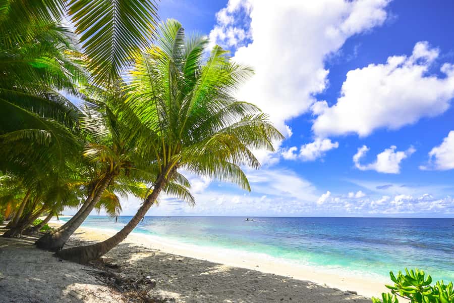 Cartagena: 5 Islands Boat Tour with Lunch, Snorkeling, & Bar - Key points to know before booking