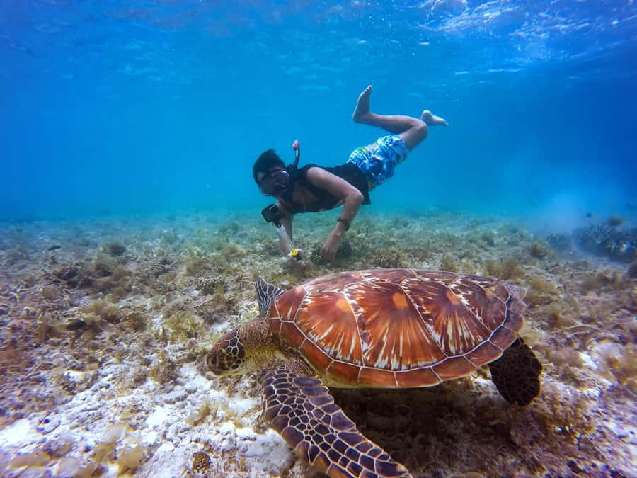 Cartagena: 5 Islands Boat Tour with Lunch, Snorkeling, & Bar - Morning pickup and the trip from Pegasus Pier