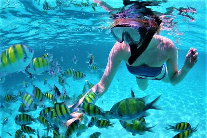 Catamaran Ile aux Cerfs, snorkeling + GRSE Waterfall, BBQ & Bar - Three hours around Ile aux Cerfs