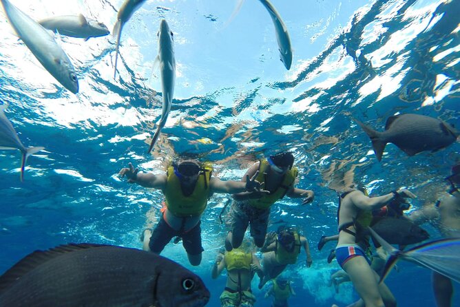 Catamaran Snorkeling to El Cielo and The Money Bar Beach Club - Is $84.99 a good value?