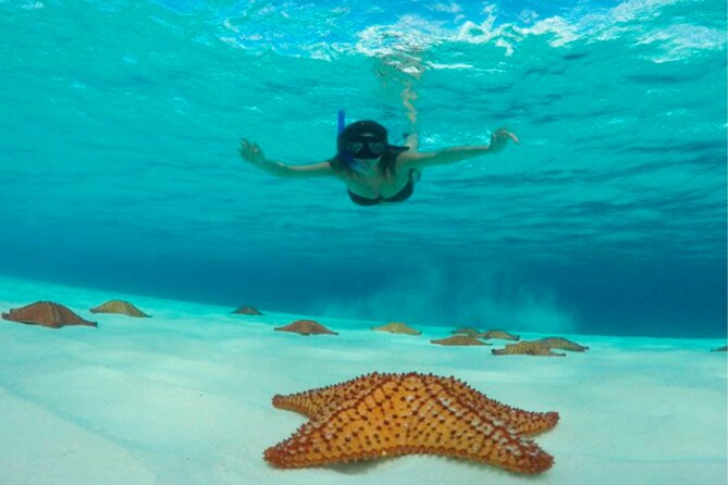 Catamaran Snorkeling to El Cielo and The Money Bar Beach Club - Timing advice for cruise passengers