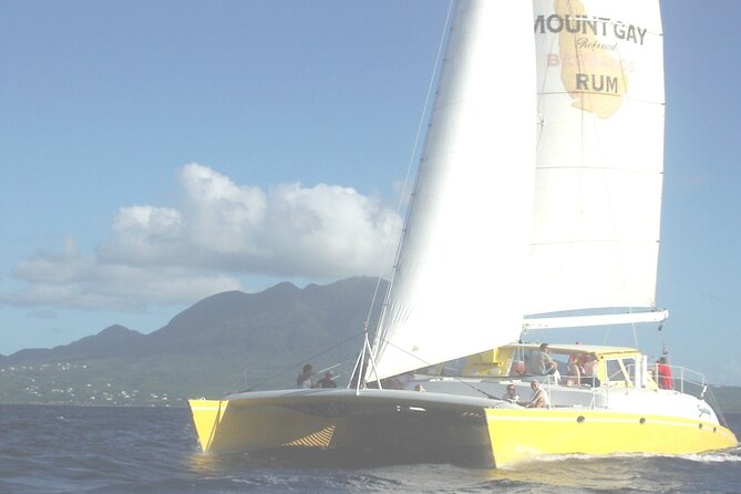 Catamaran Sunset and Cocktail Cruise - Cocktails, Appetizers, and Music on Board