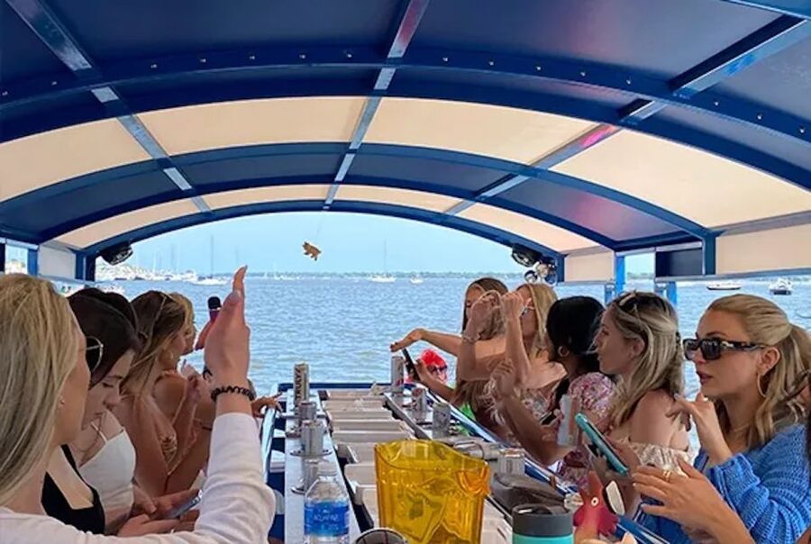Charleston: Harbor Bar Pedal Boat Party Cruise - Charleston landmarks from the Ashley River