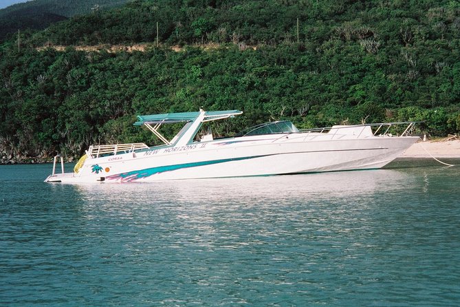 Cocktail Sunset Cruise from Sapphire Beach Resort - Who will enjoy this cruise most?