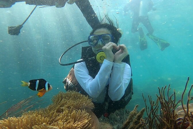 Coral Reef Snorkeling and Floating Bar Party from Nha Trang - Hòn Tằm: a short reef session with mixed results