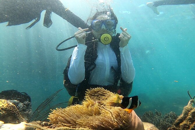 Coral Reef Snorkeling and Floating Bar Party from Nha Trang - The sunset ride back is a quieter final act