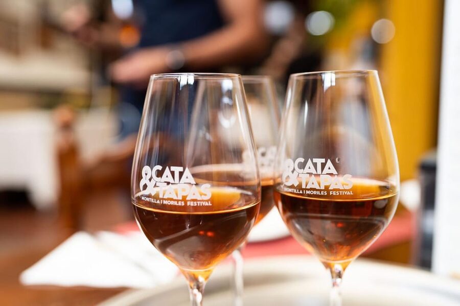 Cordoba: Tapas Bars Tour With Local Guide - Key things to know before booking