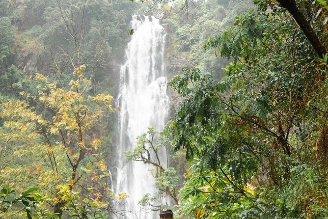 Day trip to Materuni waterfall, Coffee tour and Moshi Nightlife - The Materuni Waterfall hike and natural pools