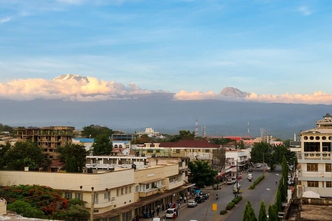Day trip to Materuni waterfall, Coffee tour and Moshi Nightlife - Booking, cancellation, and practical questions