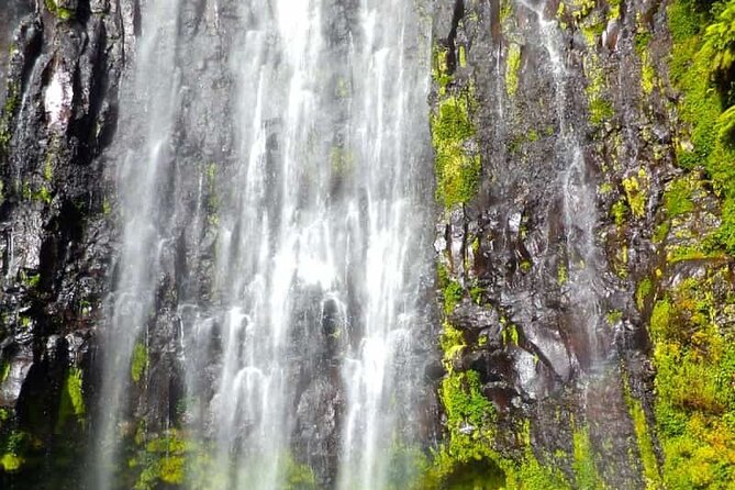 Day trip to Materuni waterfall, Coffee tour and Moshi Nightlife - The early transfer from Moshi to Materuni