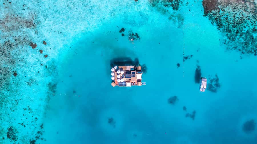 Denarau: Seventh Heaven Floating Bar Day Trip - Key points to know before you go
