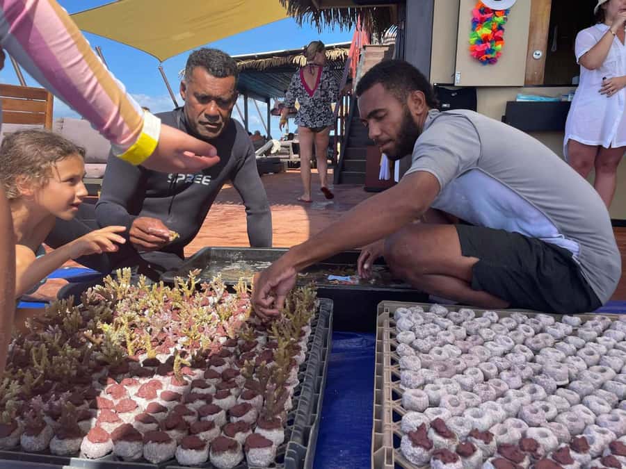 Denarau: Seventh Heaven Floating Bar Day Trip - Who will enjoy Seventh Heaven most