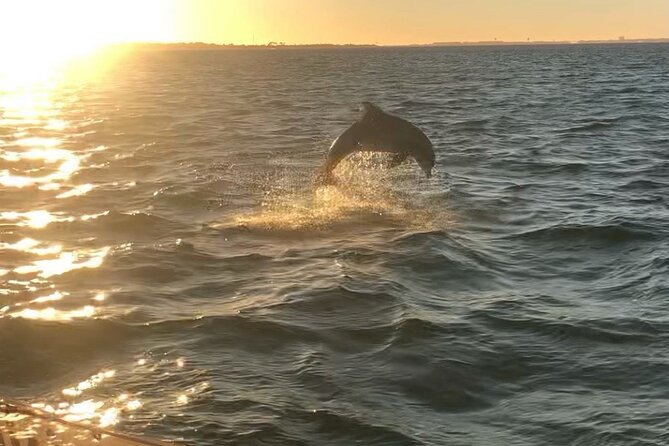 Destin's Floating Tiki Bar Cruise: 360° Harbor Views - Booking, weather, and comfort advice