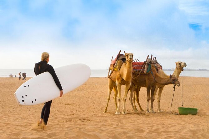 Essaouira Guided Tour: 3 on 1 - Nightlife tour, Live like a local & Street food - Starting at Bab Sbaa and entering the old town