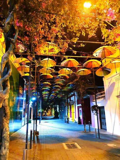 Experience the Nightlife: Puerto Plata + Sosua + Cabarete - Key points to know before booking