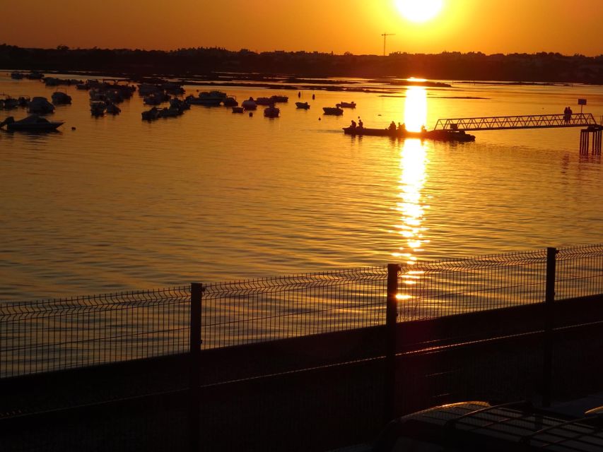 Faro: Sunset Segway Tour with Cocktails - Who will enjoy this most?