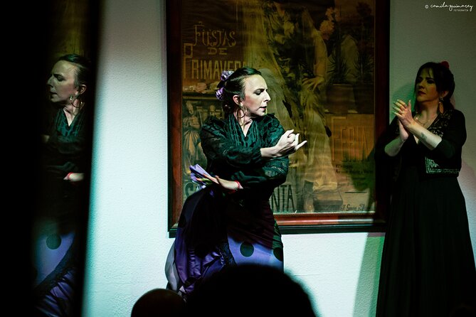 Flamenco Show in Seville at Bar and Tapas - Key things to know before booking