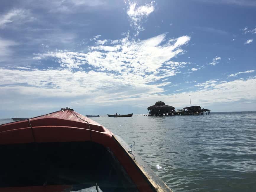 Floyd’s Pelican Bar, Ys Falls and Black River Safari Tour - Why this three-stop day works