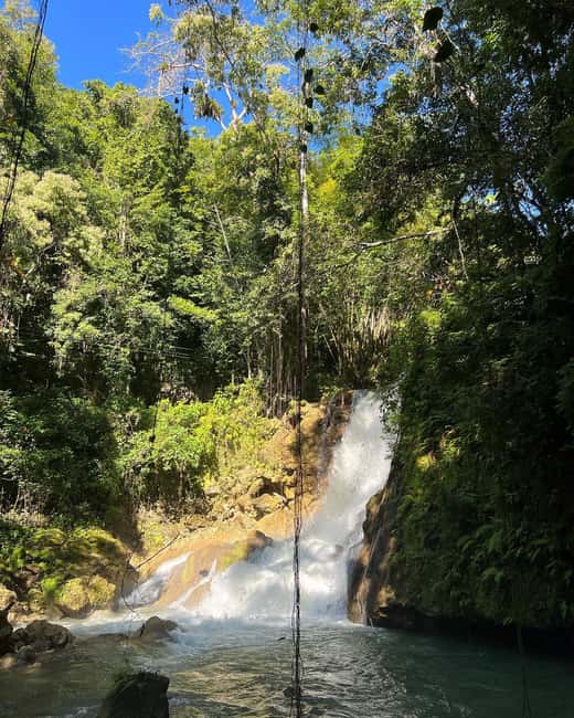 Floyd’s Pelican Bar, Ys Falls and Black River Safari Tour - Crocodiles and mangroves on Black River